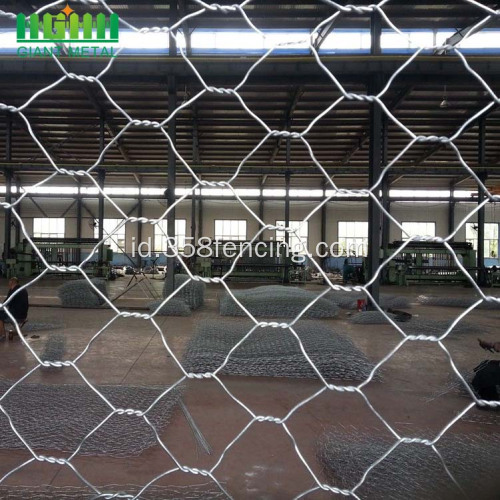 PVC Ayam Dilapisi Hexagonal Wire Mesh Netting